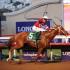 Breeders Cup 2017